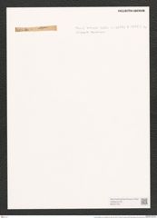Surirella elegans var. norvegica (Eul.) Brun (de-Toni-Nr.: Genus 53, Species 2236) Zeichnungen Sammlung Grunow (NHMW-BOT-W0372722)